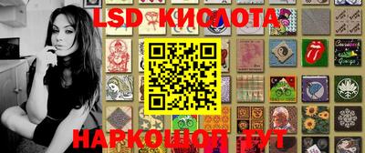 спиды Новодвинск