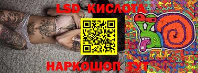 спиды Новодвинск