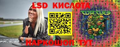 спиды Новодвинск