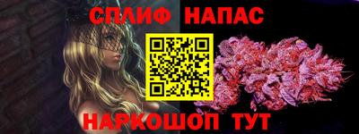 спиды Новодвинск